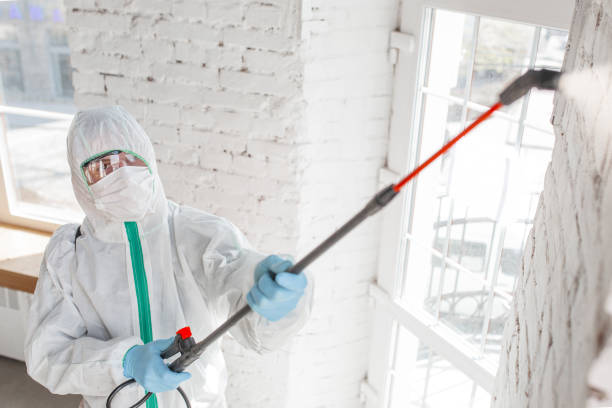 Magnolia, OH Mold Inspection, Removal & Remediation Company